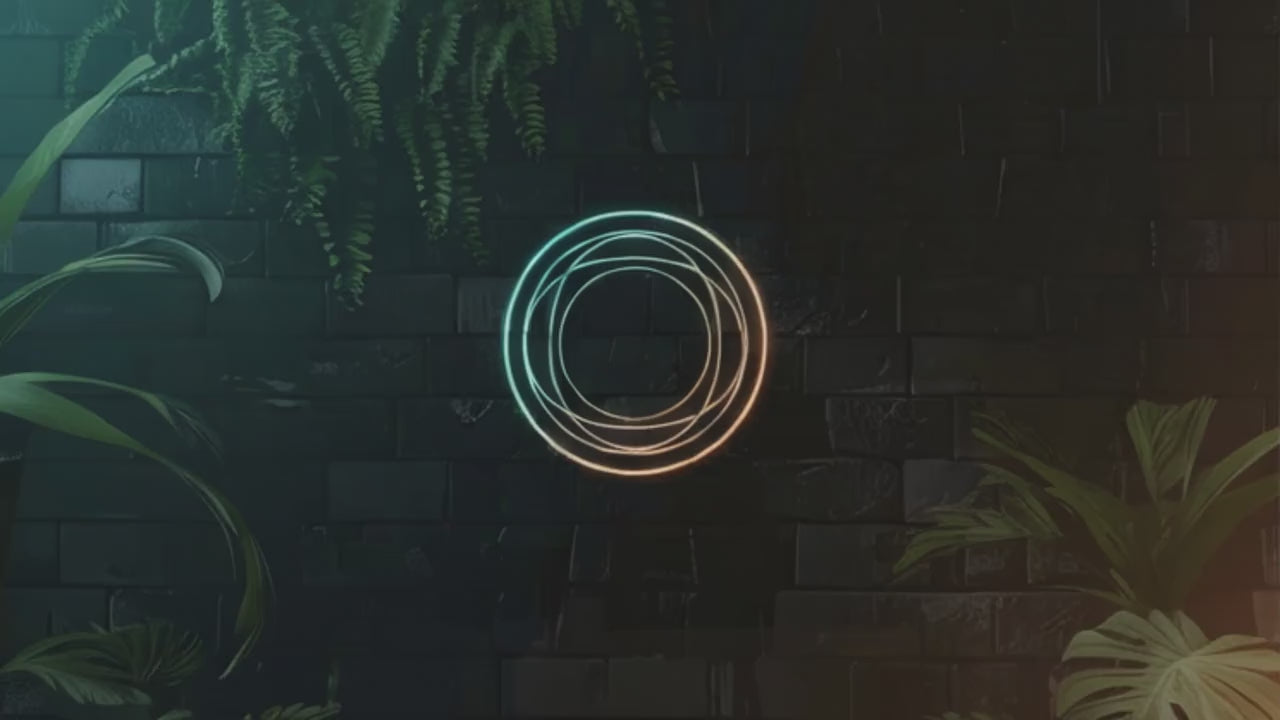 Load video: 